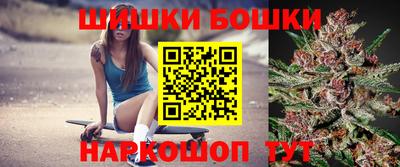 крисы Моздок